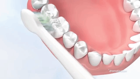 Product View 1