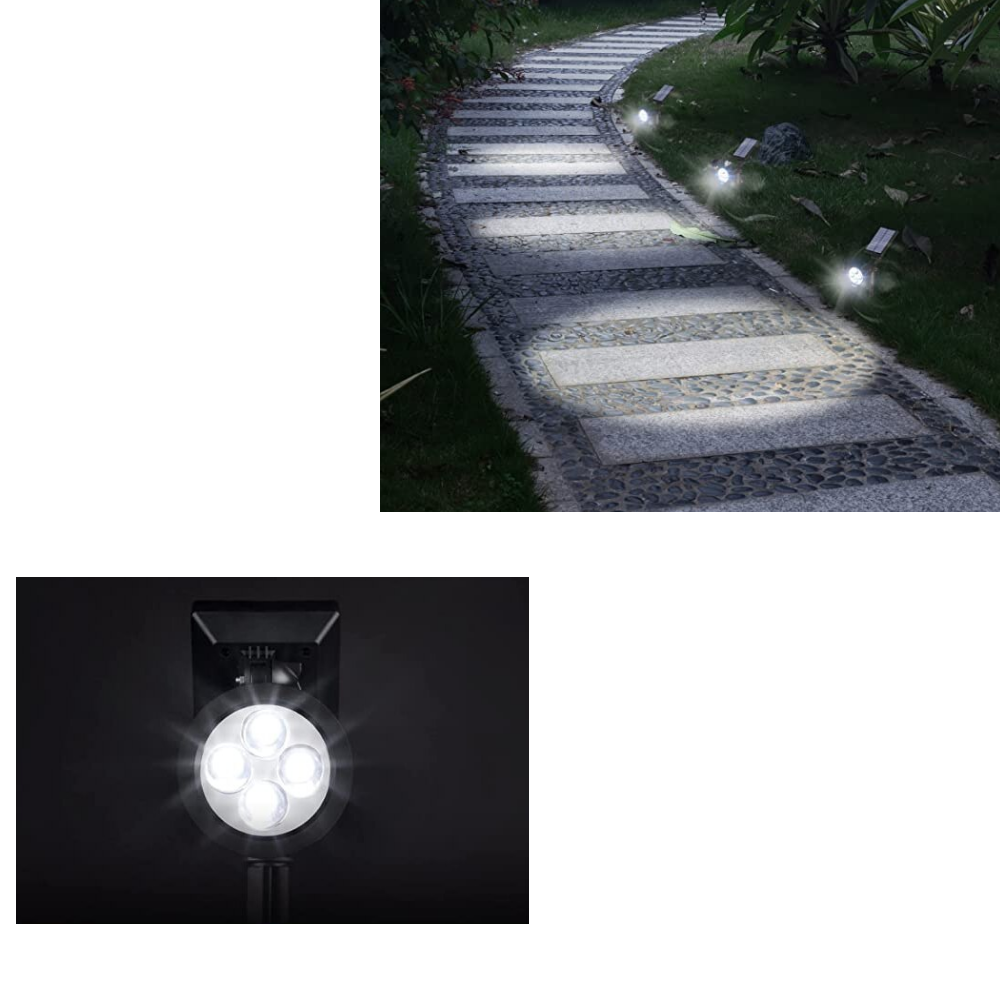 Product View 2