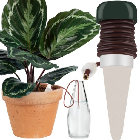 Product View 1