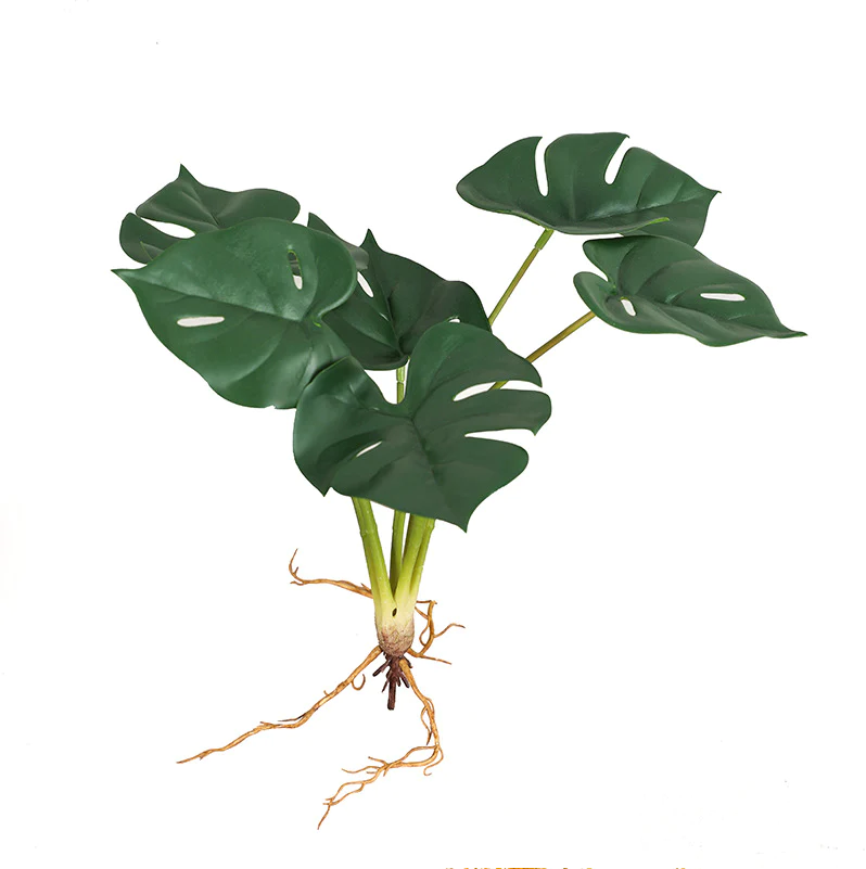 Product View 1