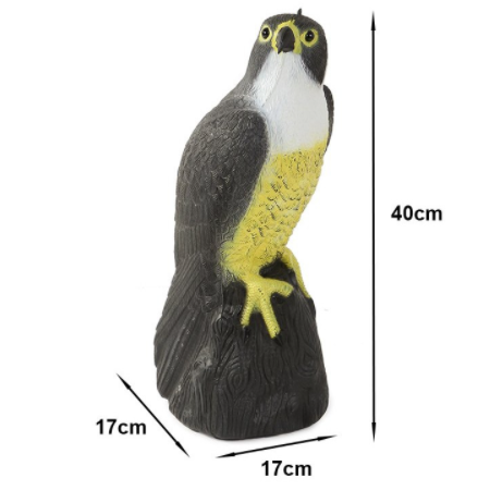 Product View 1