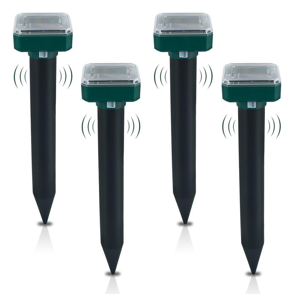 Product View 0