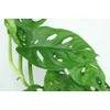 Monstera műnövény csokor gyökérkötegekkel, 43 cm (lukaslevelu-monster)