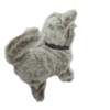 Kép 2/5 - Sétáló, elemes husky kutyus puha plüss borítással és aranyos kutyus hanggal - Választható színben