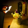 Wireless Motion LED éjszakai fény mozgásérzékelővel - fehér