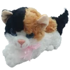 Barna-Fekete-Fehér