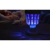 2in1 Szúnyogirtó LED izzó UV-fénnyel E27 foglalatba - fehér