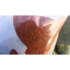 TOP MIX AQUA Betain Complex Orange horgászkeverék - 800g (TM554)