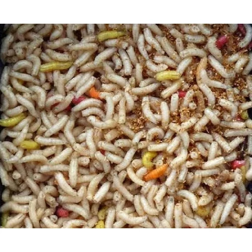 Csontkukac - légylárva horgászcsali 270 db