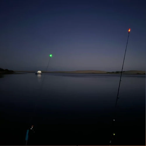 Rod Tip Light LED spicc jelzőled 2 db elemekkel - neonzöld (8026)