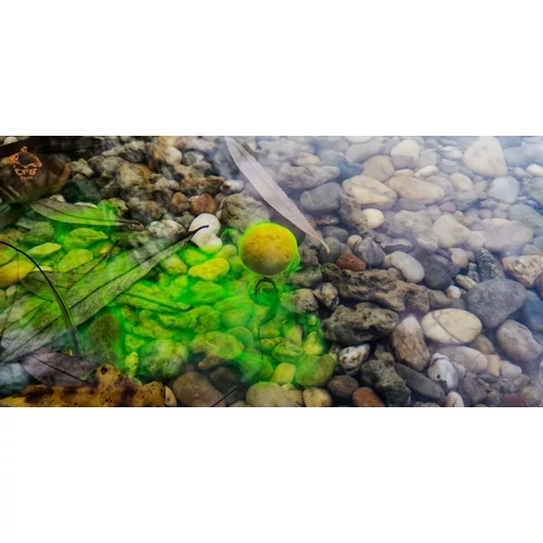 CFB BOMB AROMA csepegtetős aroma koncentrátum 25 ml - Hot Mangó