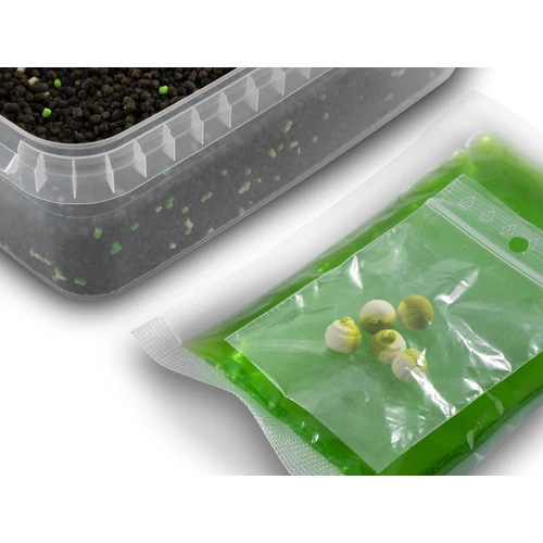 Delphin Reaxe READY&GO pellet box method feeder horgászathoz Fokhagyma-Vajsav ízesítéssel 400g - zöld-fehér