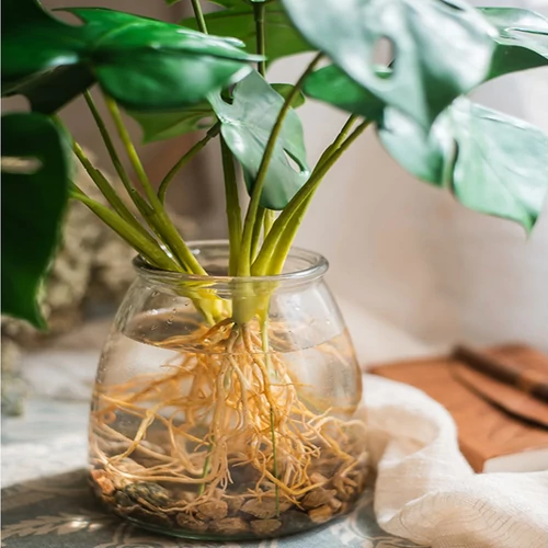 Monstera műnövény csokor gyökérkötegekkel 6 szárral, 42 cm