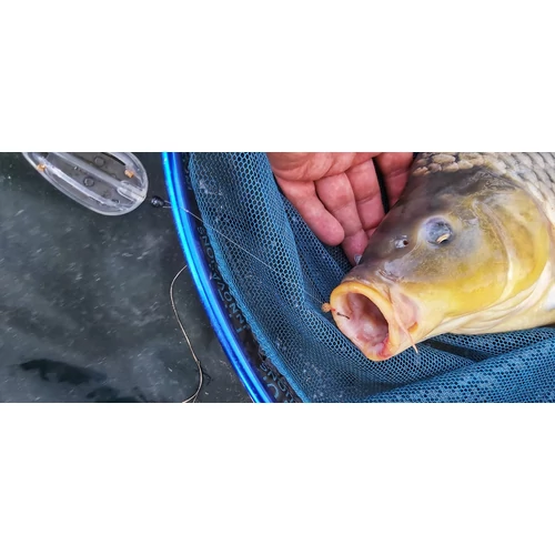 Top Mix Method Feeder Circle Hook horog - 6-os méret (TM974)
